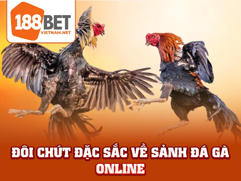 Đôi chút đặc sắc về sảnh đá gà online