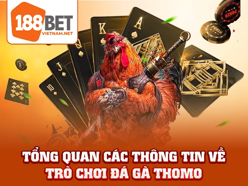 Tổng quan các thông tin về trò chơi đá gà Thomo