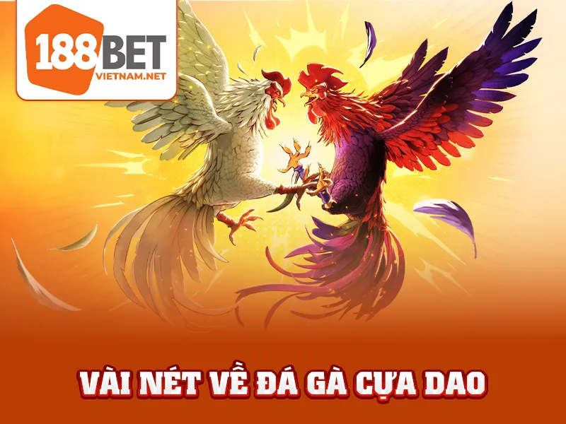 Đá Gà Cựa Dao 188BET - Vài nét về đá gà cựa dao