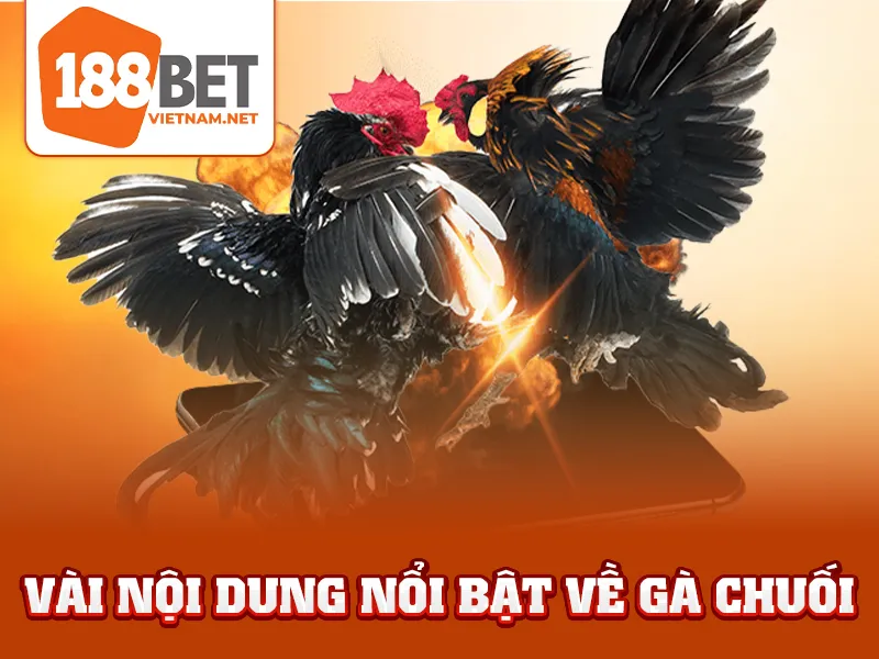 Gà Chuối - Vài nội dung nổi bật về gà chuối
