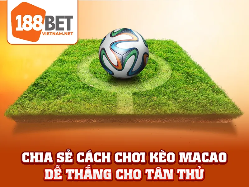 Tỷ Lệ Kèo Macao - Chia sẻ cách chơi kèo Macao dễ thắng cho tân thủ