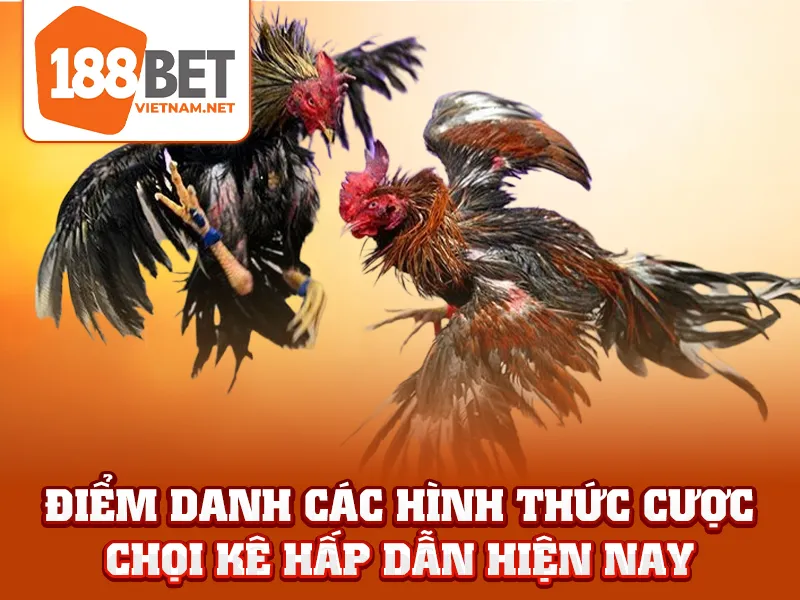Điểm danh các hình thức cược chọi kê hấp dẫn hiện nay
