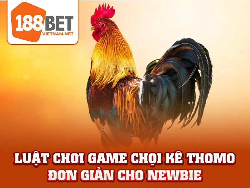 Luật chơi game chọi kê Thomo đơn giản cho newbie