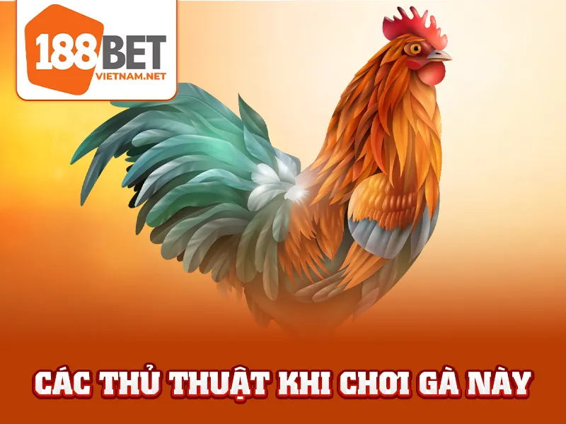 Gà Chuối - Các thủ thuật khi chơi gà này