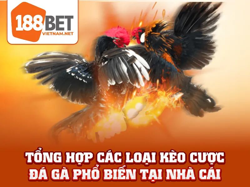 Tổng hợp các loại kèo cược đá gà phổ biến tại nhà cái