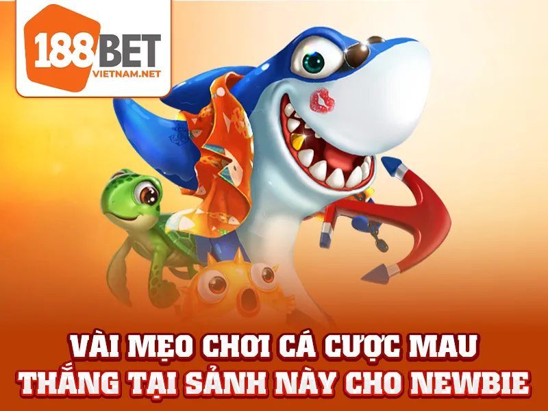 Vài mẹo chơi cá cược mau thắng tại sảnh này cho newbie